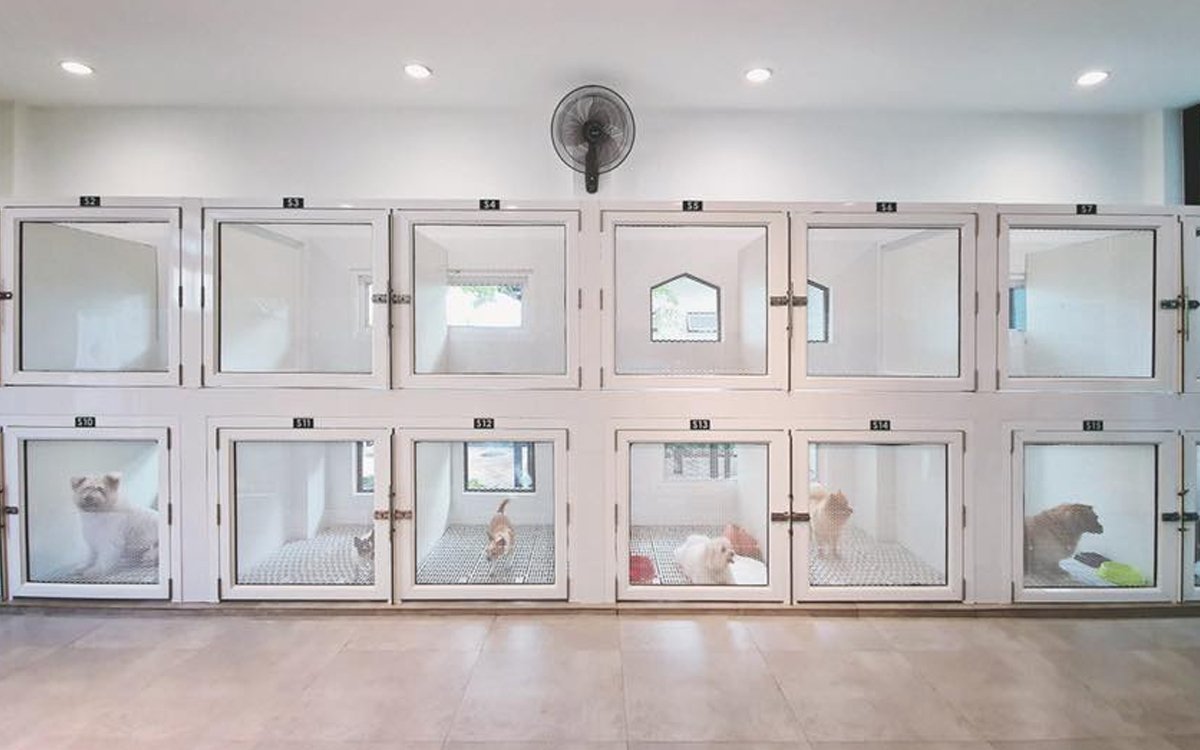 Pet Shop